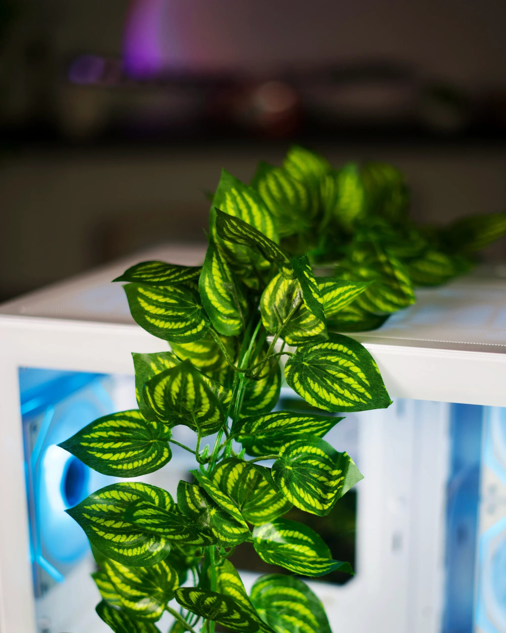 2 Leaf Branch - Image 1